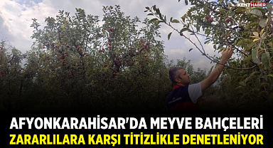 Afyonkarahisar'da Meyve Bahçeleri Zararlılara Karşı Titizlikle Denetleniyor