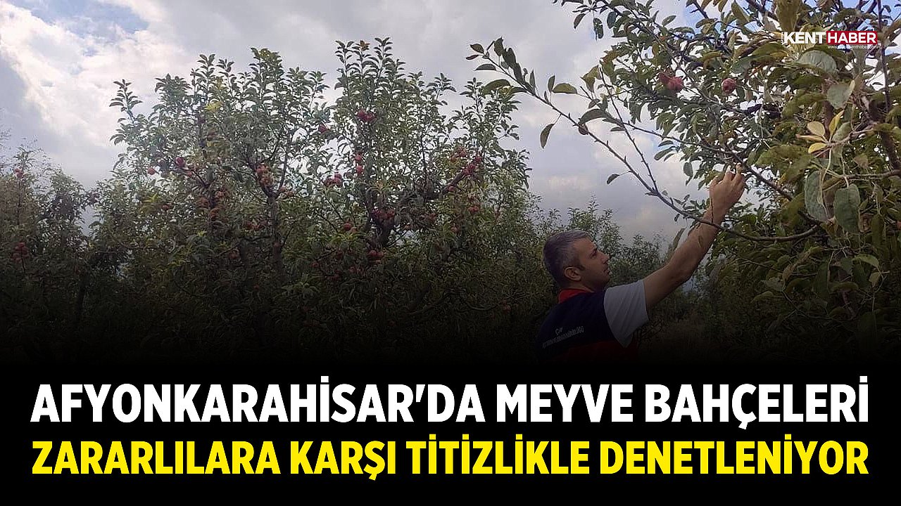 Afyonkarahisar'da Meyve Bahçeleri Zararlılara Karşı Titizlikle Denetleniyor