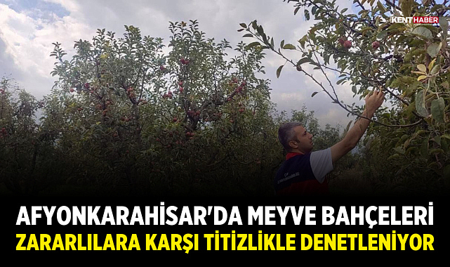 Afyonkarahisar'da Meyve Bahçeleri Zararlılara Karşı Titizlikle Denetleniyor