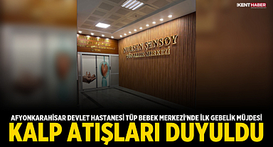 Afyonkarahisar Devlet Hastanesi Tüp Bebek Merkezi'nde İlk Gebelik Müjdesi: Kalp Atışları Duyuldu