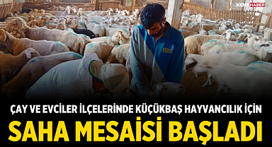 Afyonkarahisar'ın Çay ve Evciler İlçelerinde Küçükbaş Hayvancılık İçin Saha Mesaisi Başladı