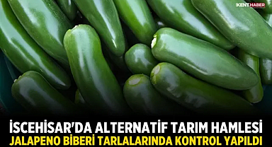 İscehisar'da Alternatif Tarım Hamlesi: Jalapeno Biberi Tarlalarında Kontrol Yapıldı