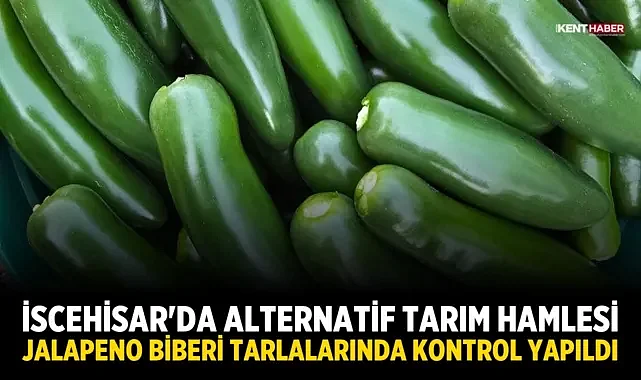 İscehisar'da Alternatif Tarım Hamlesi: Jalapeno Biberi Tarlalarında Kontrol Yapıldı