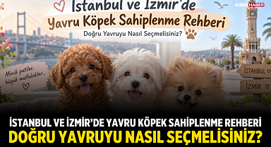 İstanbul ve İzmir'de Yavru Köpek Sahiplenme Rehberi: Doğru Yavruyu Nasıl Seçmelisiniz?