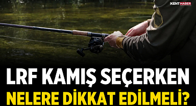 LRF Kamış Seçerken Nelere Dikkat Edilmeli?
