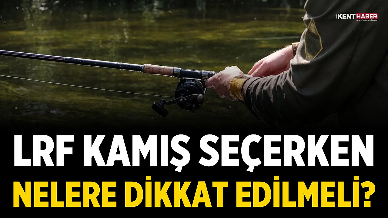 LRF Kamış Seçerken Nelere Dikkat Edilmeli?