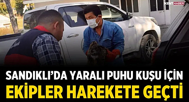 Sandıklı’da Yaralı Puhu Kuşu İçin Ekipler Harekete Geçti
