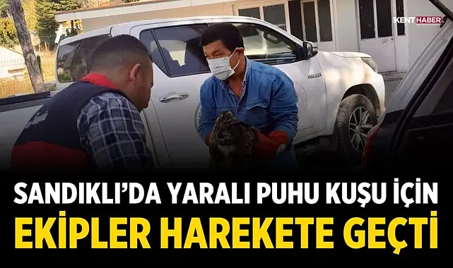 Sandıklı’da Yaralı Puhu Kuşu İçin Ekipler Harekete Geçti