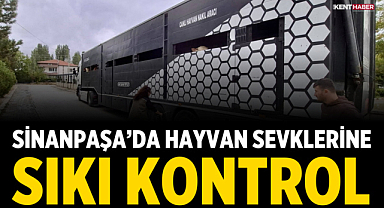Sinanpaşa’da Hayvan Sevklerine Sıkı Kontrol