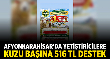 Afyonkarahisar'da Yetiştiricilere Kuzu Başına 516 TL Destek