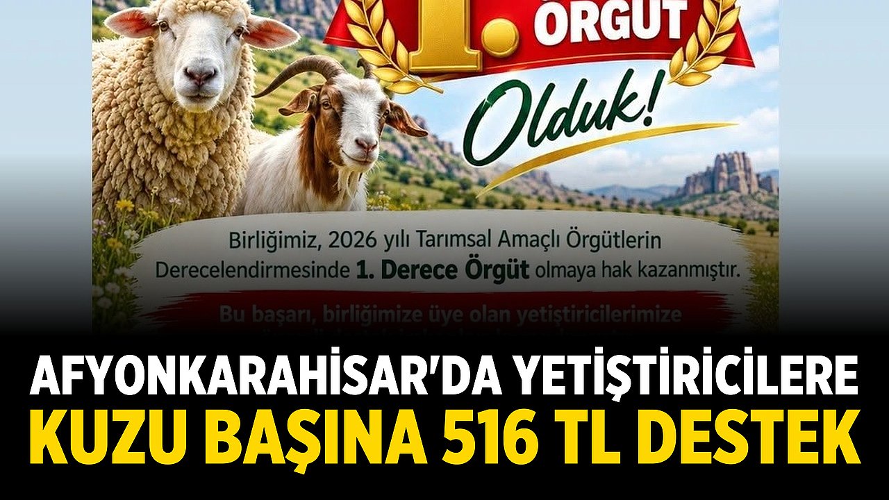Afyonkarahisar'da Yetiştiricilere Kuzu Başına 516 TL Destek