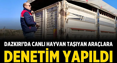 Dazkırı’da Canlı Hayvan Taşıyan Araçlara Denetim Yapıldı