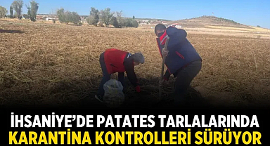 İhsaniye’de Patates Tarlalarında Karantina Kontrolleri Sürüyor