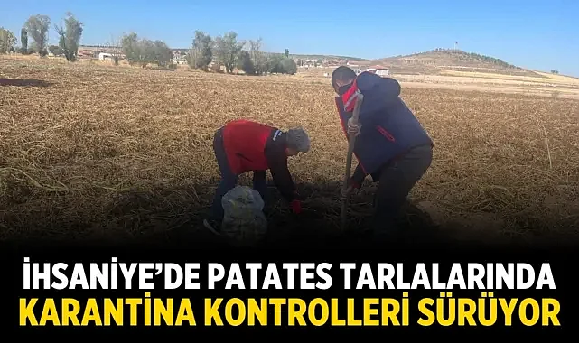 İhsaniye’de Patates Tarlalarında Karantina Kontrolleri Sürüyor