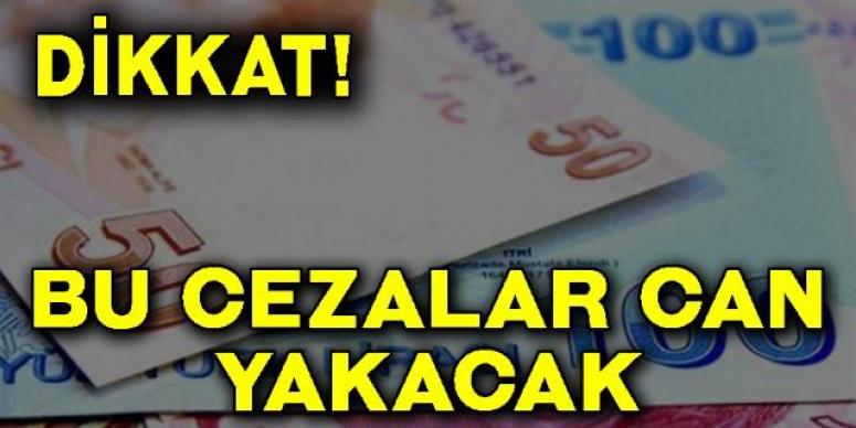 Bu Cezalar Çok Can Yakacak!