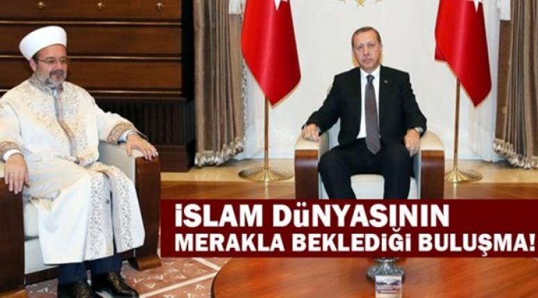 Erdoğan'ın Başkan Görmez'i kabul etmesi bekleniyor