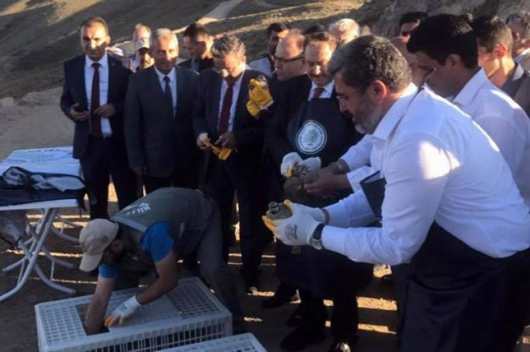 Bakan Eroğlu Doğaya 200 keklik saldı