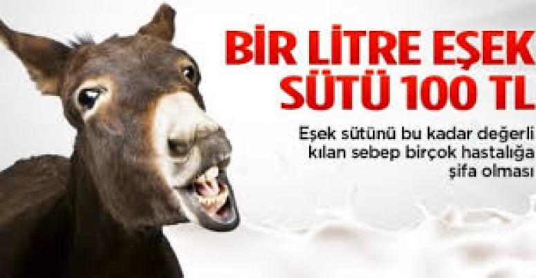 Eşek Sütü Faydaları Nelerdir ?
