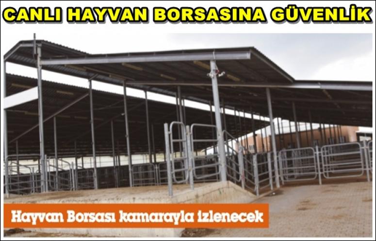 CANLI HAYVAN BORSASINA GÜVENLİK