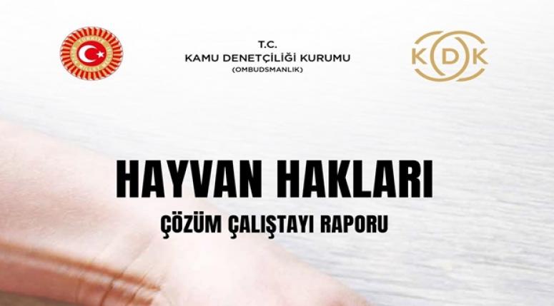 KDK Hayvan Hakları Çalıştay Raporunu Yayınladı