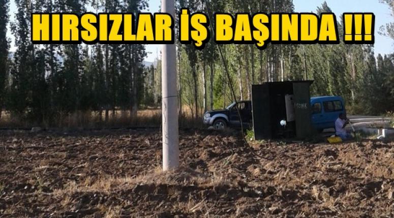 HIRSIZLAR İŞ BAŞINDA