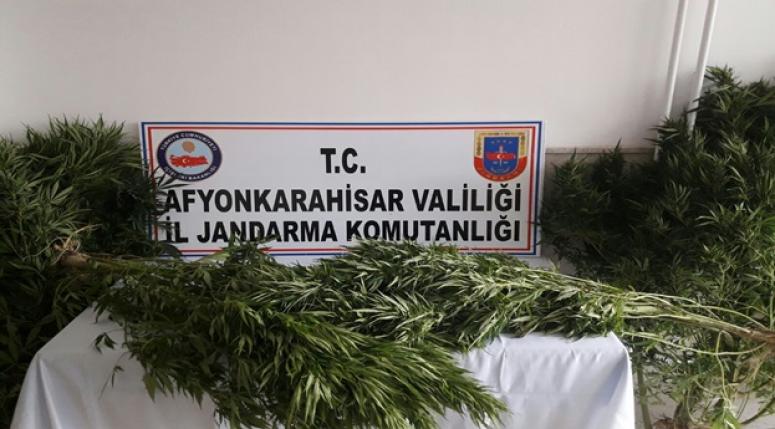 AFYON'DA UYUŞTURUCU OPERASYONLARI !!!