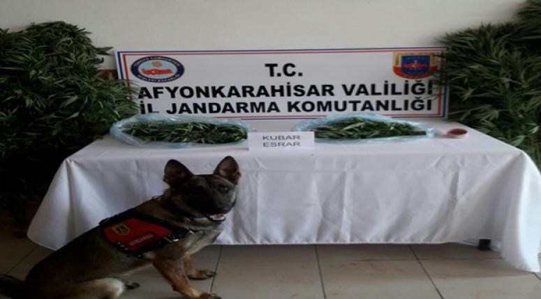 YASSIÖREN KÖYÜNDE UYUŞTURUCU MADDE ELE GEÇİRİLDİ
