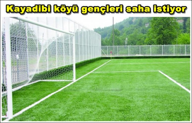 Sinanpaşa Kayadibi Köyü saha istiyor !!!