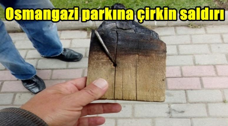 AFYON'DA PARK ATEŞE VERİLDİ