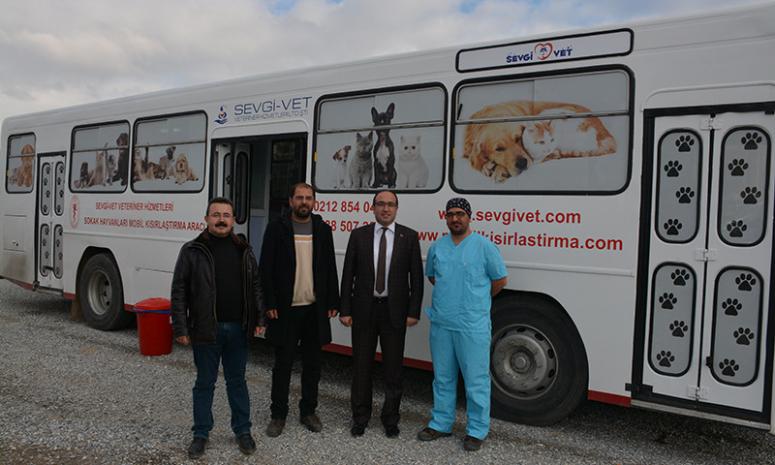 SANDIKLI'DA SOKAK KÖPEKLERİ İÇİN TEDAVİ VE AŞILAMA ÇALIŞMASI