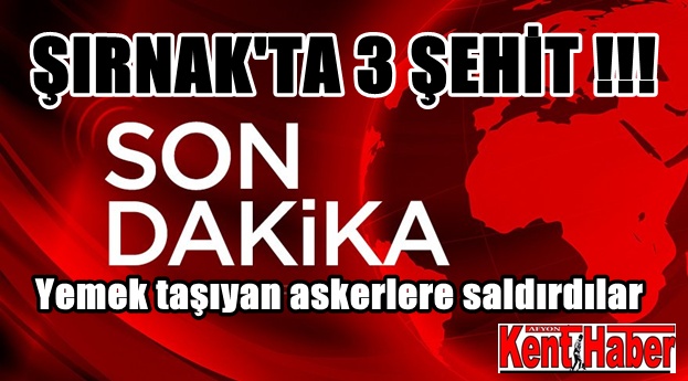 SON DAKİKA : ŞIRNAK'TA YEMEK TAŞIYAN ASKERLERE SALDIRI !!!