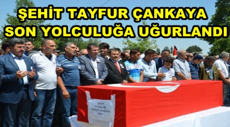 ŞEHİT TAYFUR ÇANKAYA SON YOLCULUĞUNA UĞURLANDI !!!
