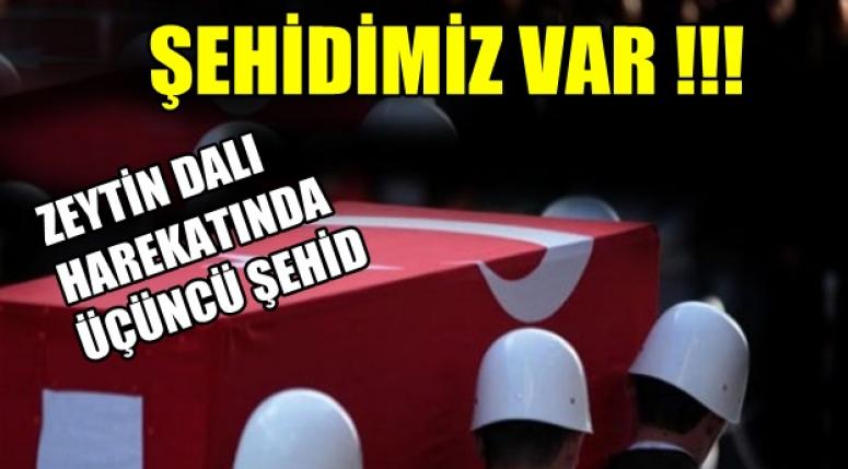 Zeytin Dalı Harekatı'nda Üçüncü şehidimiz !!!