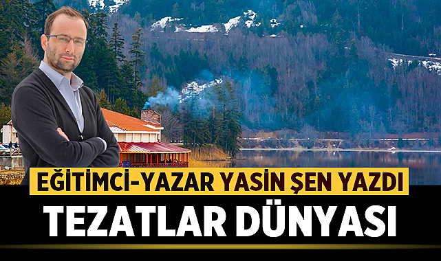 TEZATLAR DÜNYASI
