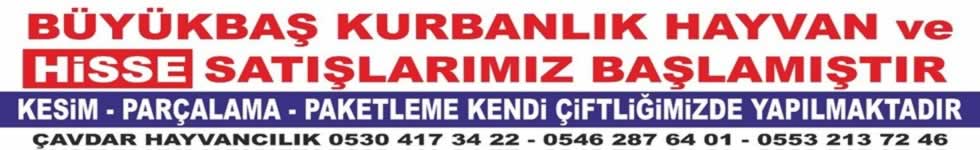 Reklam